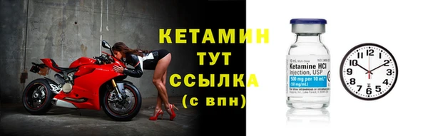 крисы Аркадак