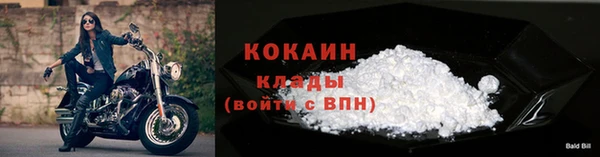 кокс Арсеньев
