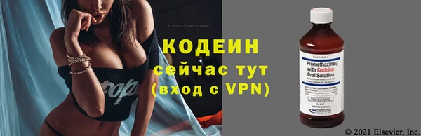 кокс Арсеньев