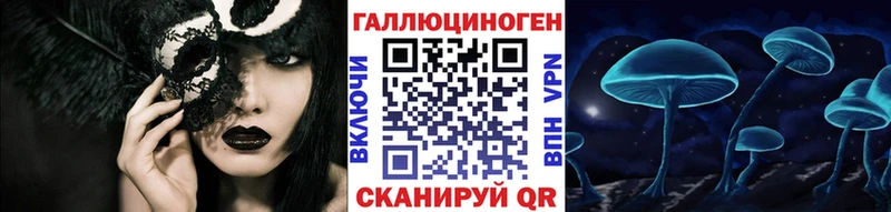 блэк спрут как зайти  Протвино  Псилоцибиновые грибы MAGIC MUSHROOMS 